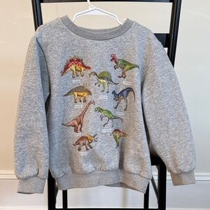 Gray Dinosaur Print Kids Sweatshirt